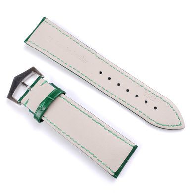 Ремешок Catfskin 22 мм CS01GN01-22